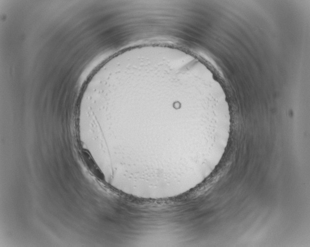 X0000069360952200606091558