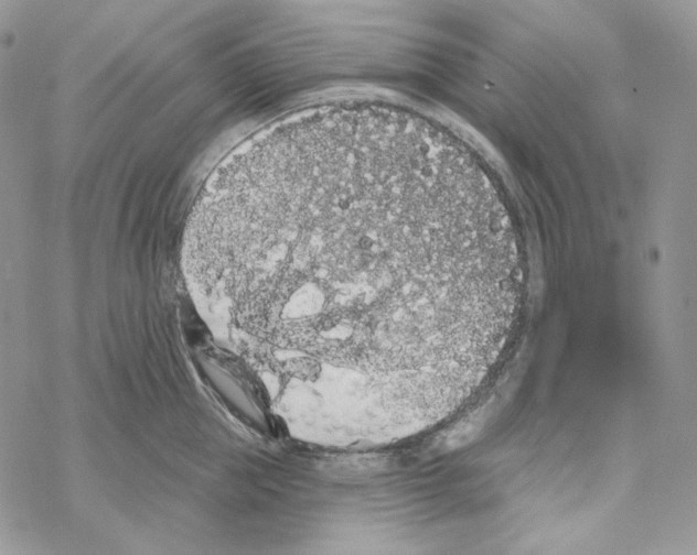 X0000069360953200606091558