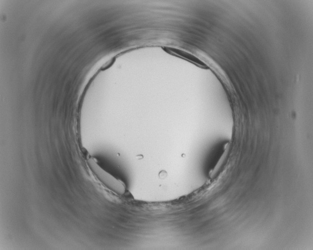 X0000069360956200606091558