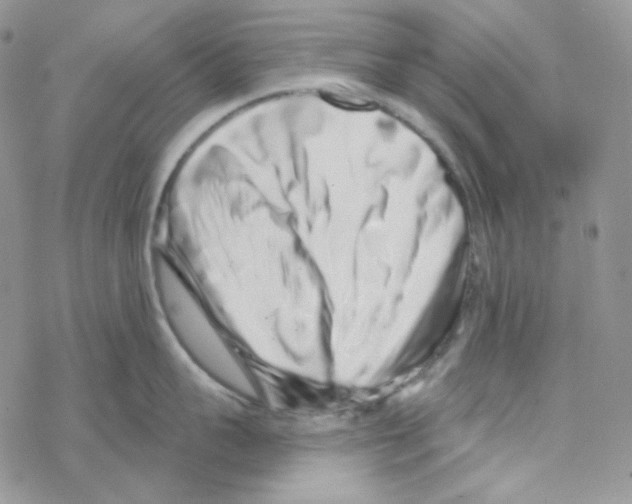 X0000069360959200606091558