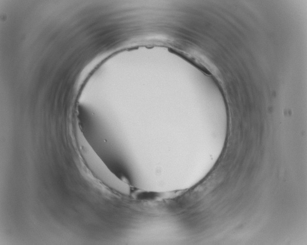 X0000069360960200606091558