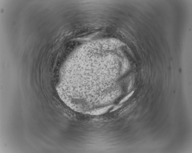 X0000069360961200606091557