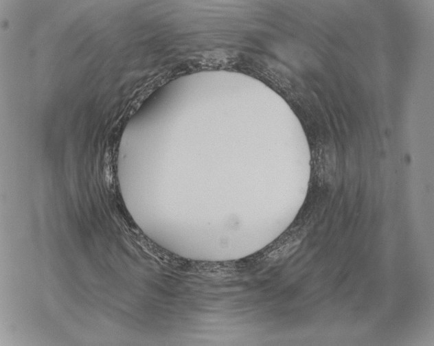 X0000069360962200606091557