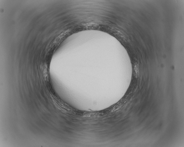 X0000069360963200606091557