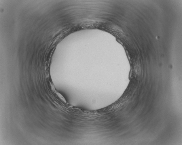 X0000069360964200606091557