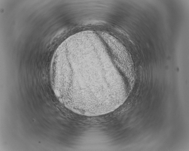 X0000069360966200606091557