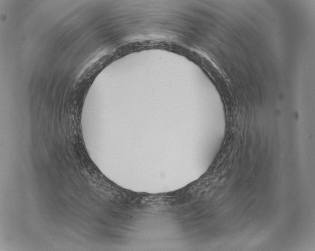 X0000069360967200606091557