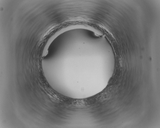 X0000069360968200606091557