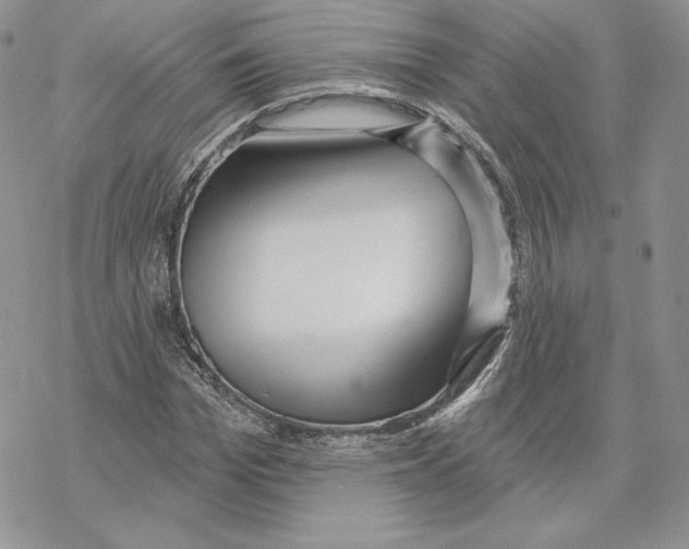 X0000069360969200606091557