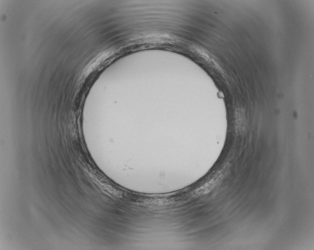 X0000069360970200606091557