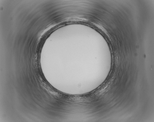 X0000069360971200606091557