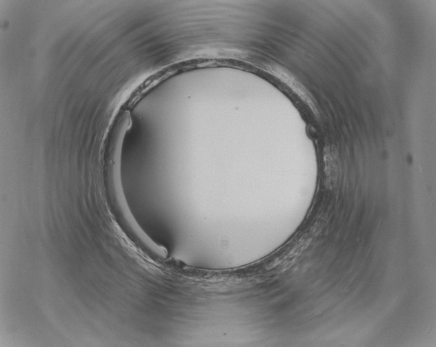 X0000069360972200606091557