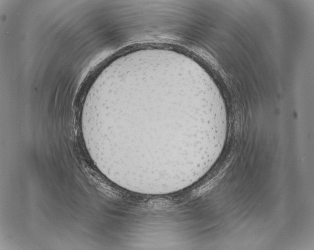 X0000069360974200606091557