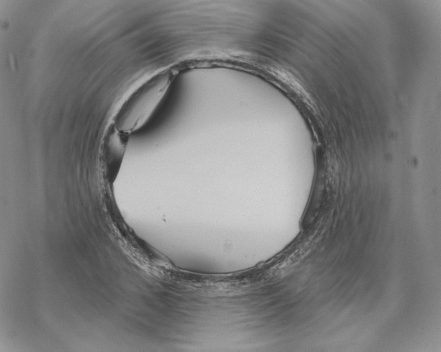 X0000069360976200606091557