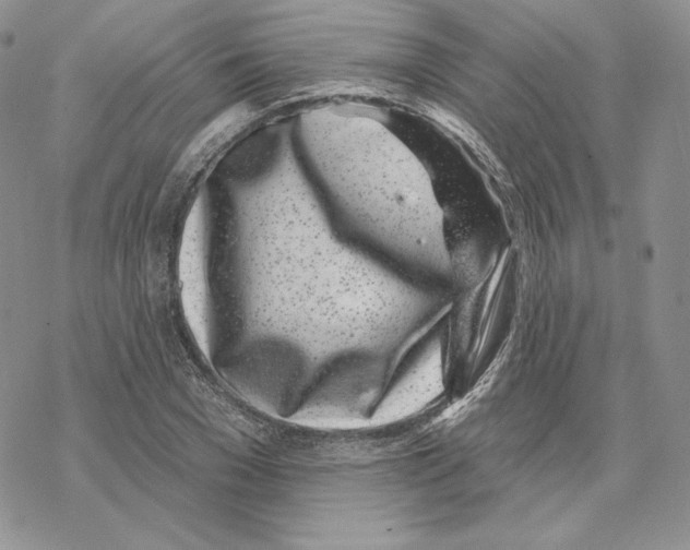 X0000069360977200606091557