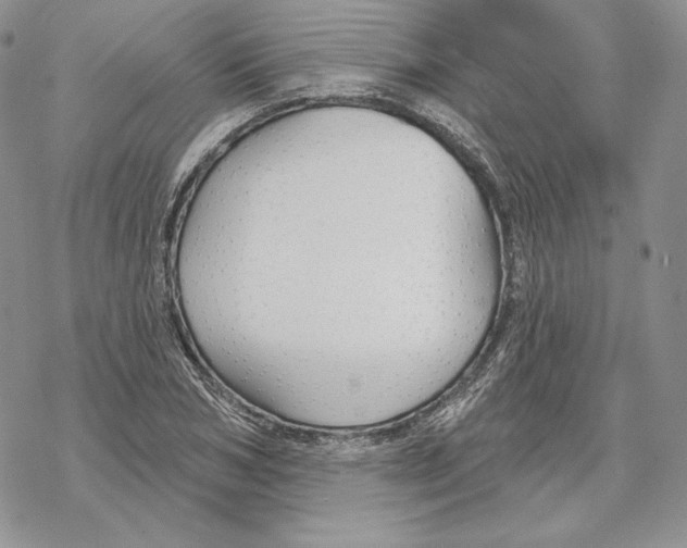 X0000069360978200606091557