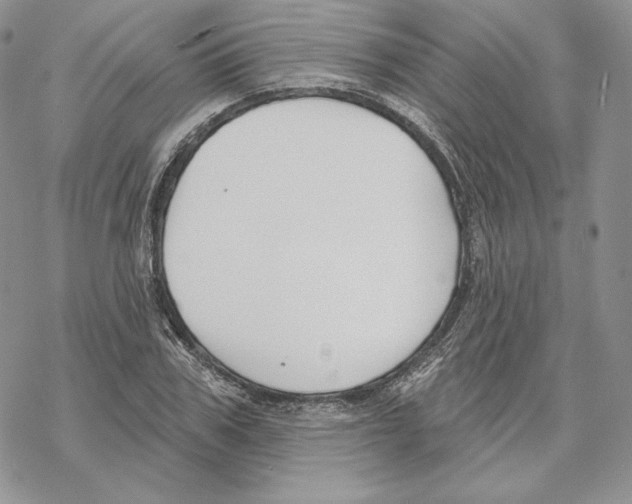 X0000069360979200606091557