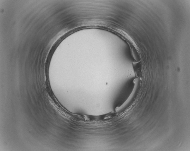 X0000069360980200606091557