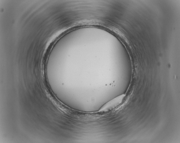 X0000069360981200606091557