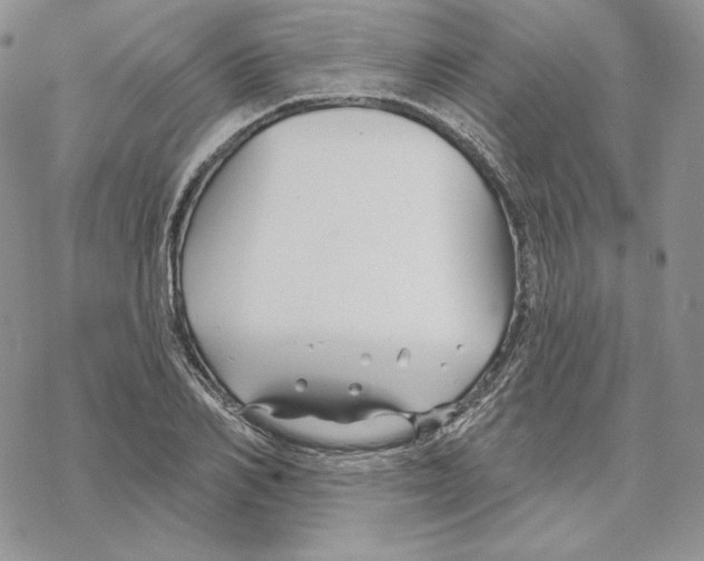 X0000069360982200606091557