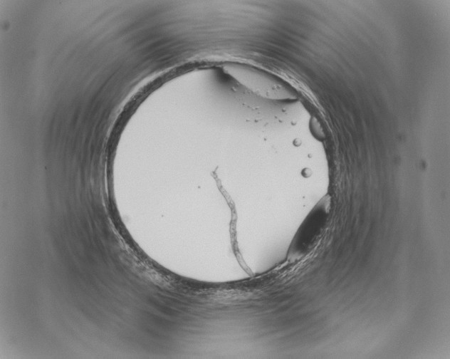 X0000069360984200606091557