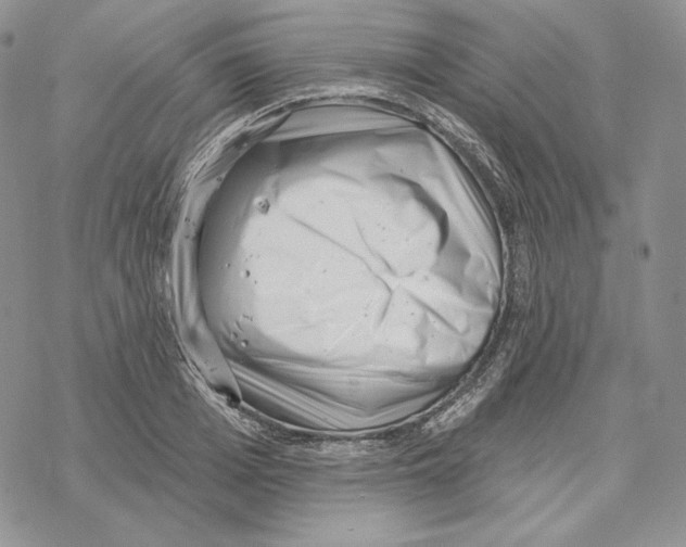 X0000069360985200606091556