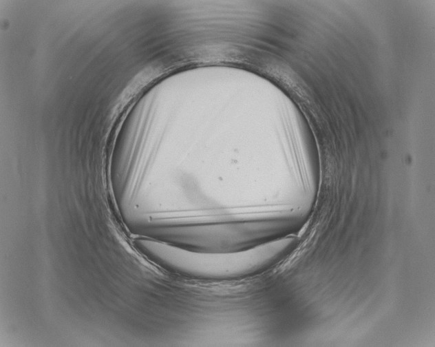 X0000069360986200606091556