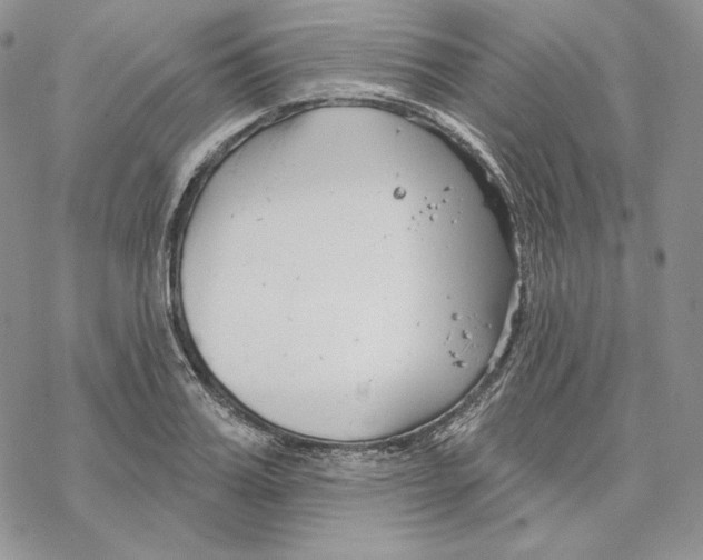 X0000069360987200606091556