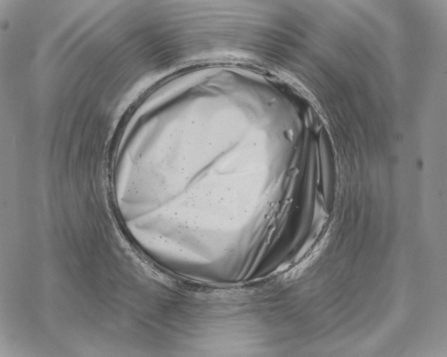 X0000069360989200606091556