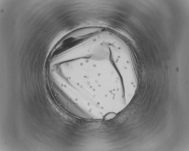 X0000069360990200606091556