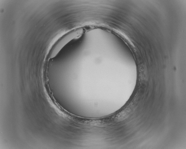 X0000069360991200606091556