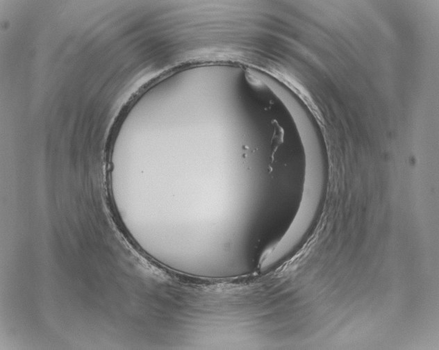 X0000069360992200606091556