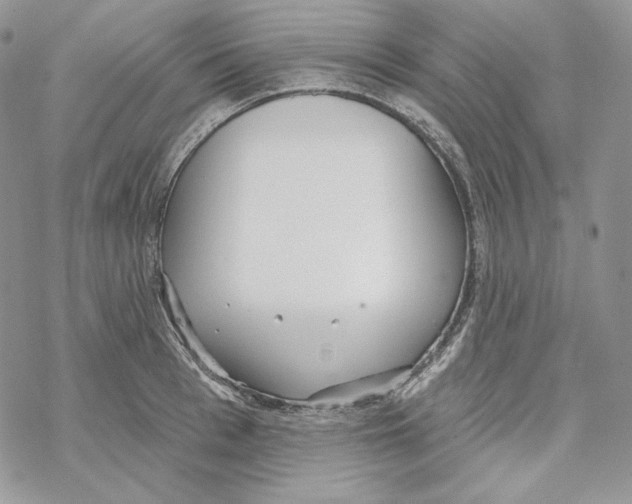 X0000069360993200606091556