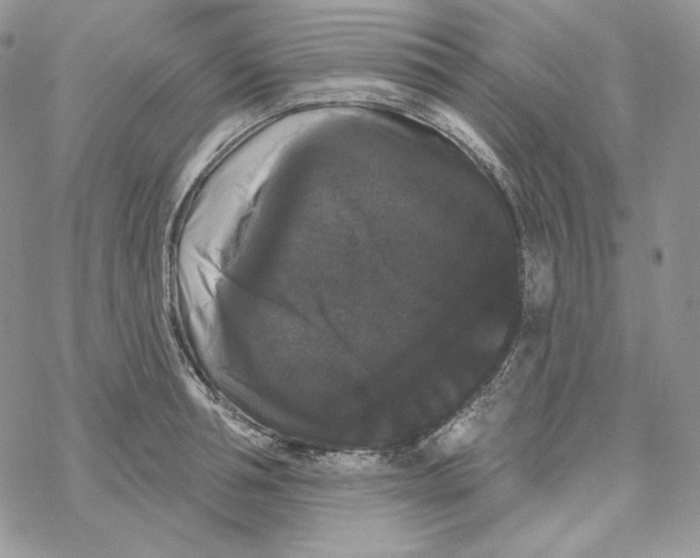 X0000069360994200606091556