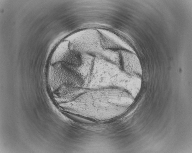 X0000069360995200606091556