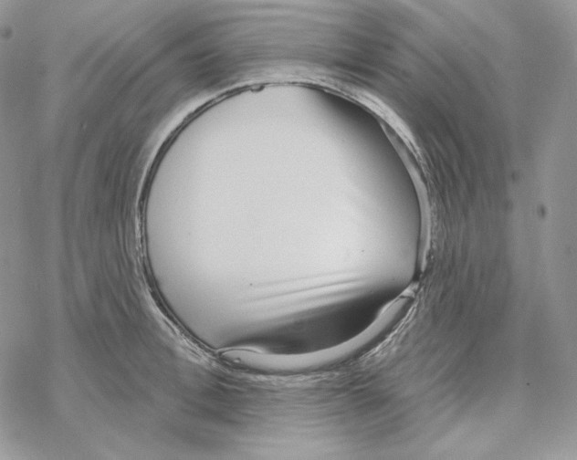 X0000069360996200606091556