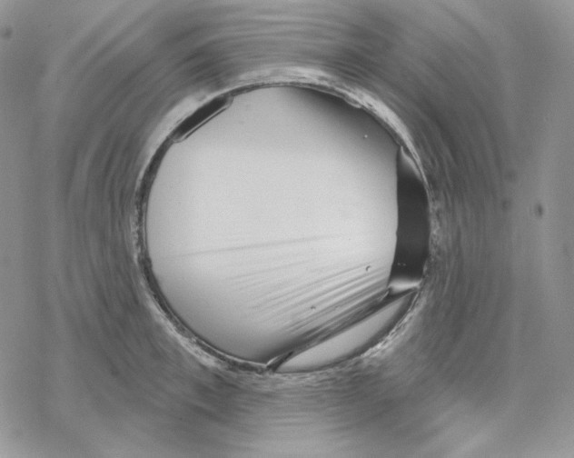 X0000069360997200606091556