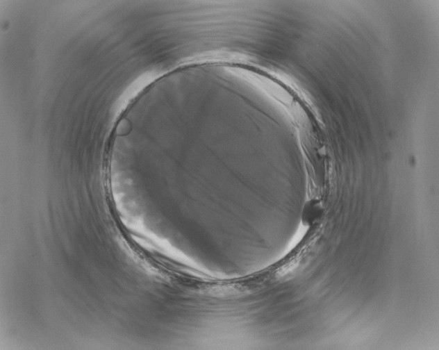 X0000069360998200606091556