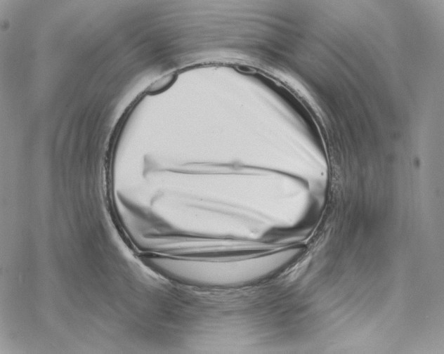 X0000069360999200606091556