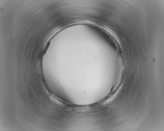 X0000069361001200606091556