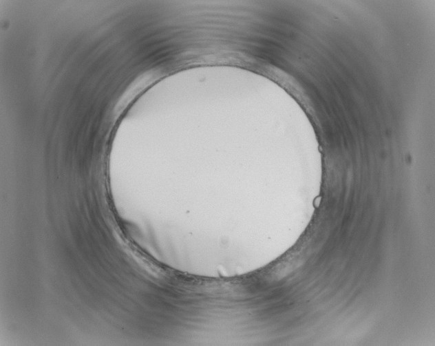 X0000069361002200606091556