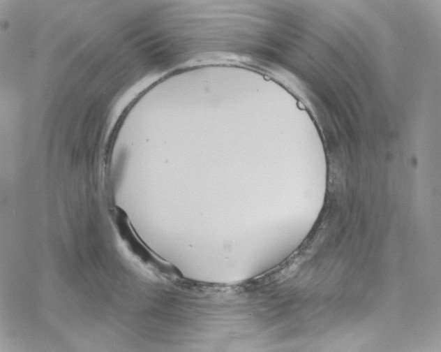 X0000069361003200606091556