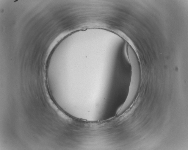 X0000069361005200606091556