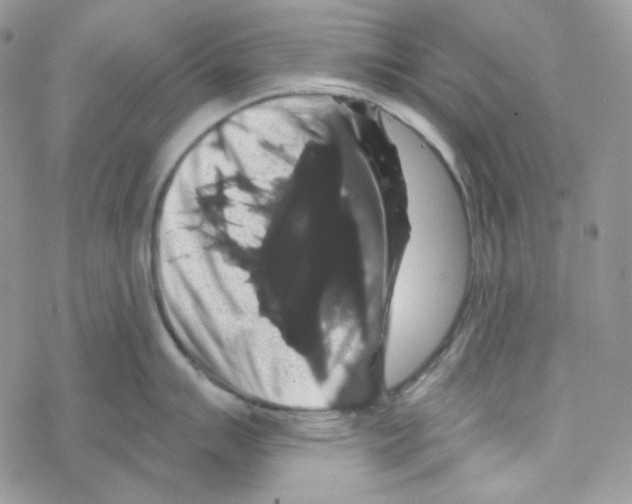 X0000069361007200606091556