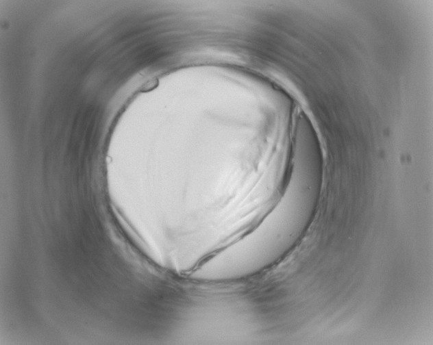 X0000069361008200606091556