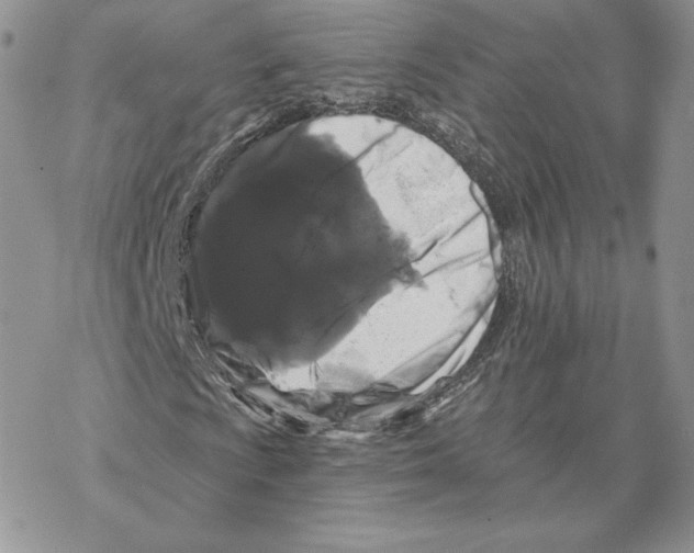 X0000069361009200606091555