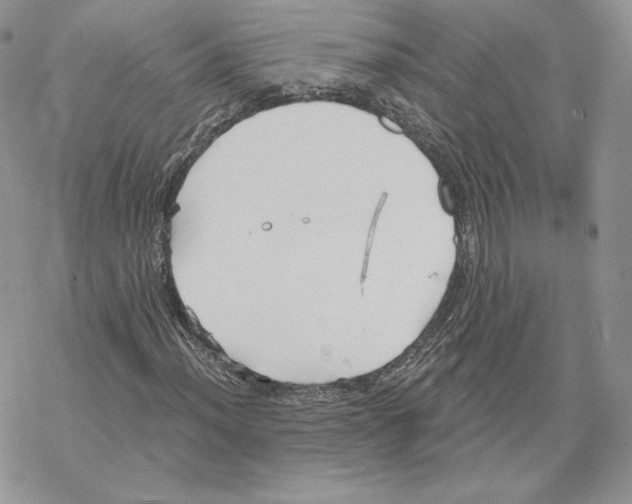 X0000069361012200606091555