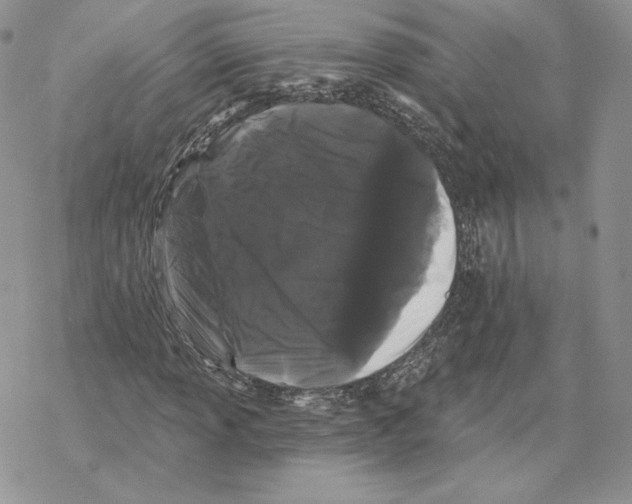 X0000069361013200606091555