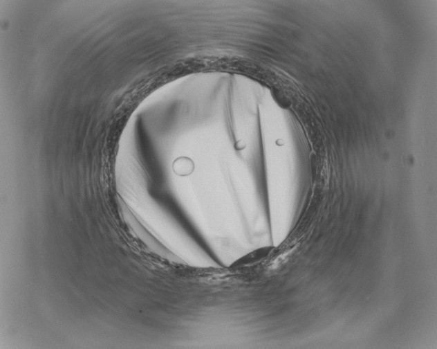 X0000069361014200606091555