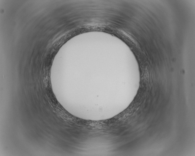 X0000069361015200606091555